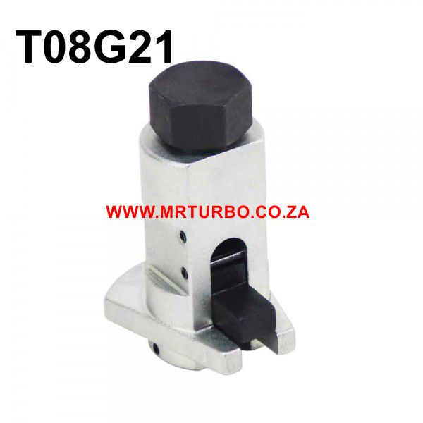 T08G21