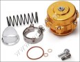 BOV05 GOLD